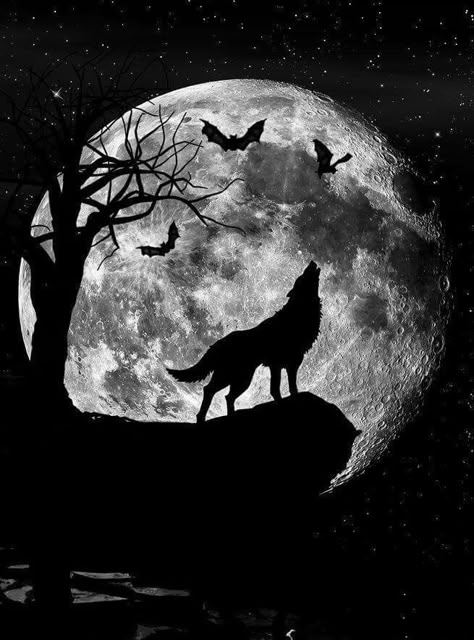 Wolf Moon Wallpaper, Wolf And Moon Tattoo, Japanese Warrior Tattoo, Magical Wolf, Goddess Of Love And Beauty, Moon Wolf, Wallpaper Moon, Moon Silhouette, Wolf Painting