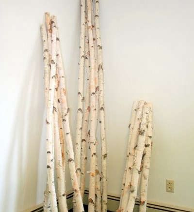 Decorative Birch Poles Log Decor, Fairytale Forest, Birch Logs, Winter Porch, Christmas Arrangements, Earthship, Mirror Wall, Decorative Accessories, Home And Garden