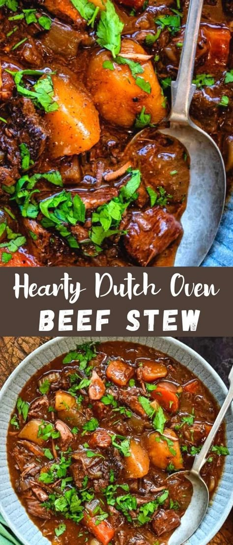 Beef Stew Cast Iron Pot, Oven Baked Stew Meat, Vegetable Beef Soup In Dutch Oven, Rich Beef Stew Recipe, Campfire Beef Stew, Beef Stew In A Dutch Oven, Hearty Beef Stew Recipe, Best Beef Stew Recipe Dutch Oven, Beef Stew Baked In Oven