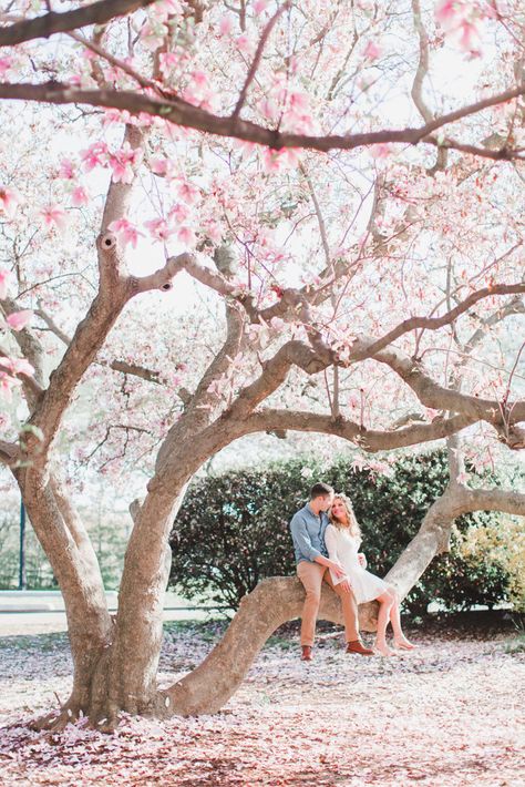 Washington Dc Engagement, Dc Engagement, Spring Engagement Photos, Spring Photoshoot, Cherry Blossom Wedding, Spring Engagement, Gorgeous Couple, Engagement Photo Poses, Wedding Engagement Photos