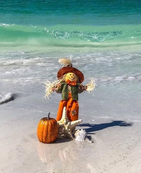 Beachy Halloween, Beach Thanksgiving, Coastal Halloween, Coastal Autumn, Trip To Florida, Fall Beach, Beach Holidays, Thanksgiving Dishes, On The Ocean