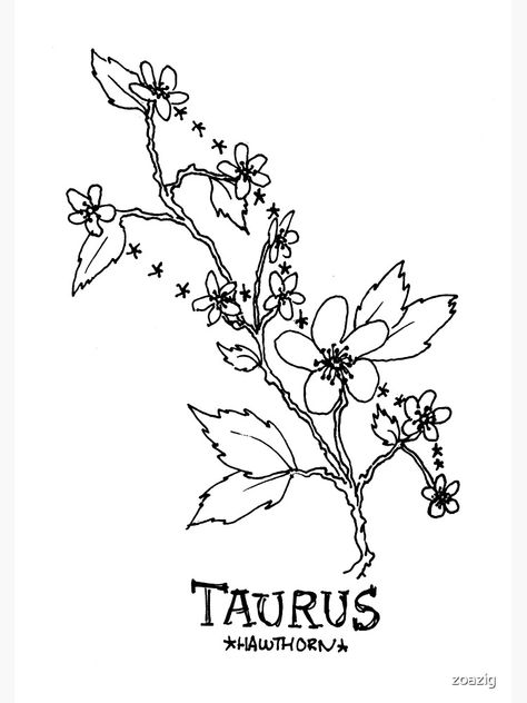 Taurus Flower, Taurus Poster, Floral Constellation, Taurus Journal, Coffee Cup Tattoo, Pisces Constellation Tattoo, Aquarius Constellation Tattoo, Taurus Constellation Tattoo, Constellation Piercings