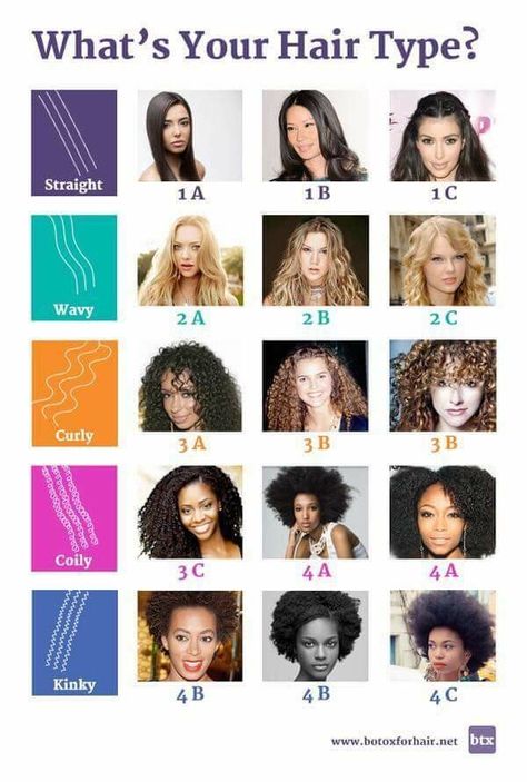 Hair Type Chart, Hair Chart, Haircut Types, Curly Hair Types, Types Of Hair, Curly Hair Updo, Curly Hair Inspiration, Curly Hair Routine, Curly Hair With Bangs