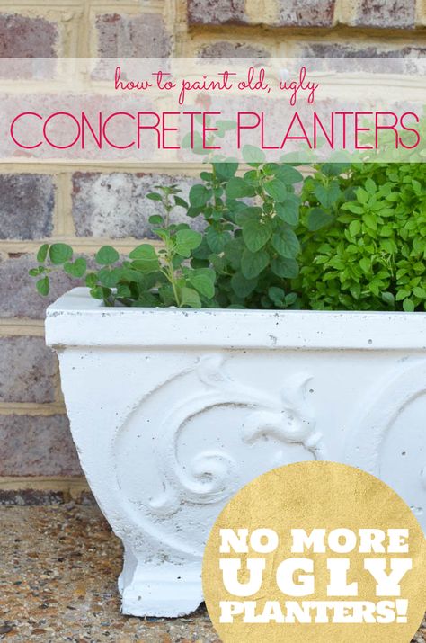 How to Paint Concrete Planters... it's such a quick and easy way to update those old, ugly planters! Cement Urns Concrete Planters, Painted Concrete Planters, Concrete Urn Planter Ideas, Concrete Planter Ideas, Concrete Planters Garden, Planter Makeover, How To Paint Concrete, Paint Concrete, Concrete Containers