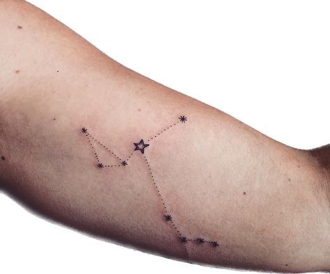 Constellation Drawing Simple, Canis Major Constellation Tattoo, Canis Constellation, Canis Major Tattoo, Constellation Drawing, Canis Major, Party Tattoos, Constellation Tattoo, Lavender Haze