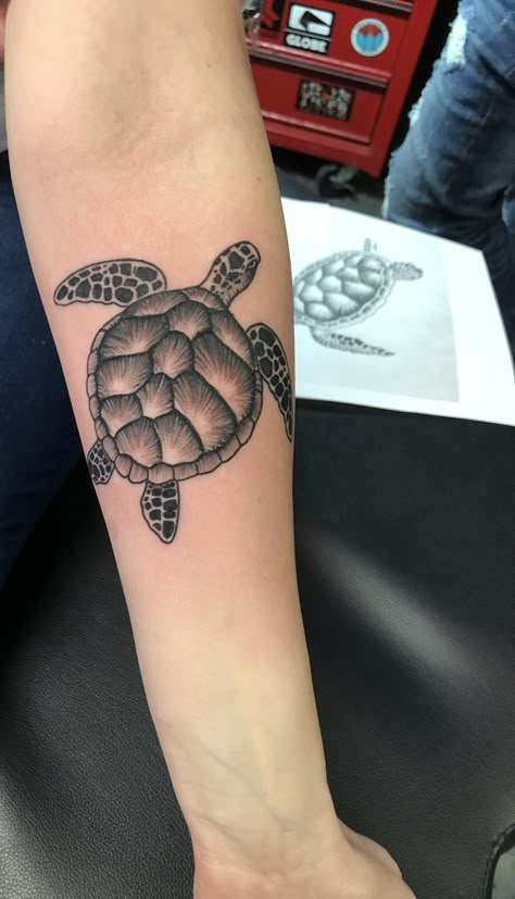 Masculine Turtle Tattoo, Seat Turtle Tattoo, Sea Turtle Forearm Tattoo, Loggerhead Turtle Tattoo, Swimming Turtle Tattoo, Loggerhead Sea Turtle Tattoo, Sea Turtle Tattoo Men, Turtle Forearm Tattoo, Sea Turtle Tattoo For Men