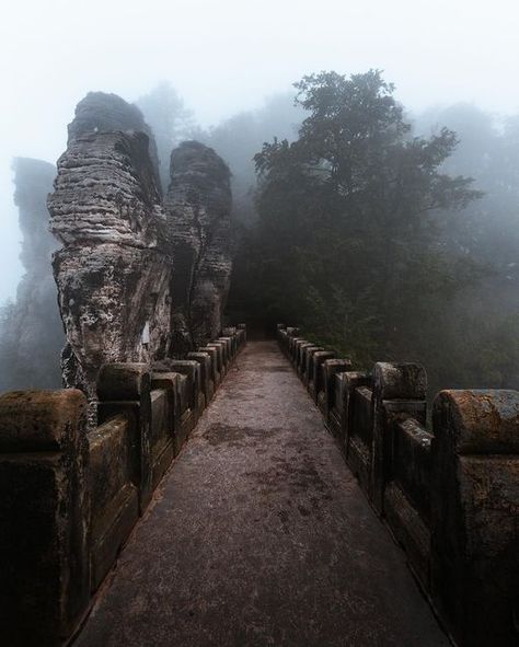 Tom | Travel & Landscape | One of my favourite places in the eastern part of Germany 🇩🇪 Make sure this place is on your list, when you’re around Dresden.  �... | Instagram Magical Bridge, Bridge In Forest, Bavaria Germany Photography, Germany Forest, Forest Bridge Aesthetic, Germany Landscape, Bridge Photography, Tree Lover, Mysterious Places