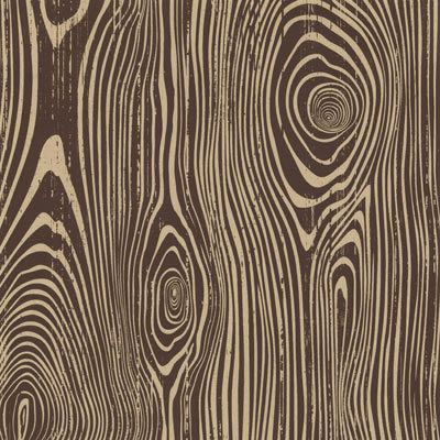 Wooden Illustration, Tree Textures, Wood Grain Pattern, Texture Drawing, Wood Pattern, Wood Patterns, Wood Texture, Art Plastique, Textures Patterns