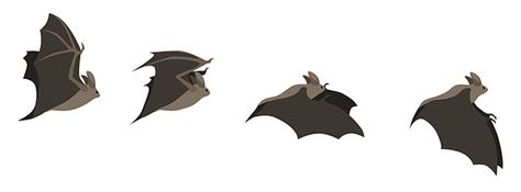 Flying bats used in stop motion animation Bat Flying Animation, Bat Flying Gif, Bat Animation, Animation Sheet, Flip Books Art, Flying Monsters, Motion Images, Bat Flying, Flying Bats