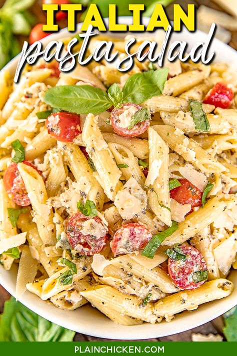 Dilly Pasta Salad, Quick And Easy Italian Pasta Salad, Marinated Pasta Salad, Big Batch Pasta Salad, Marry Me Pasta Salad, Small Pasta Salad, Penne Mozzarella Salad, Sicilian Pasta Salad, Pasta Salad Without Mayonnaise