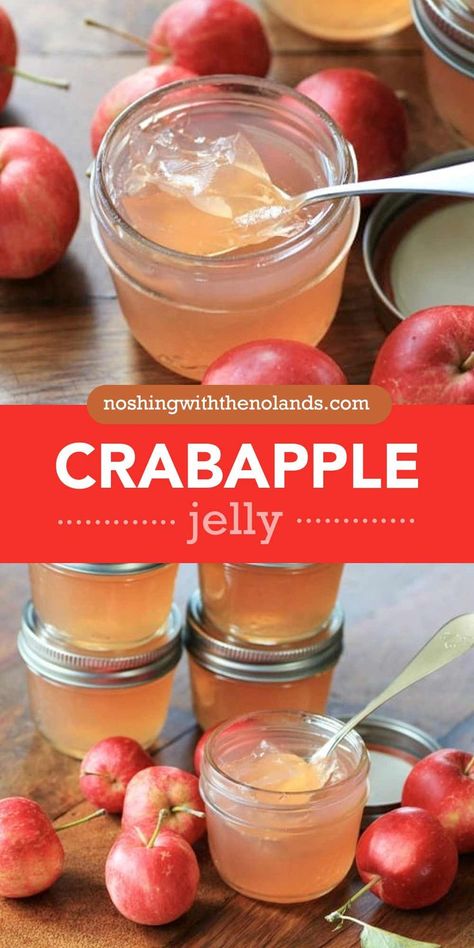 A gorgeous homemade crabapple jelly that uses a low sugar natural pectin!! I love this jelly recipe as it is a great use of our homegrown crabapples. Crabapple Jelly Recipe With Pectin, Sure Jell Recipe Insert, Crabapple Jam Recipe, Crabapple Jelly Recipe, Sure Jell Recipe, Crabapple Jelly, Crab Apple Recipes, Low Sugar Jam Recipes, Crab Apple Jelly