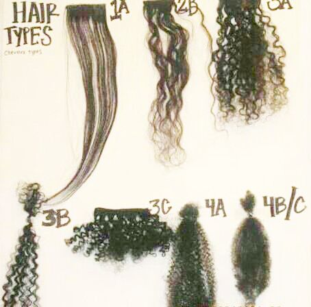 Hair type chart. I'd say I'm between a 3c and 4a. What's yours? Natural Hair Type Chart, 1b Hair Type, Hair Texture Chart, Hair Type Chart, 1b Hair, Type Chart, Pinterest Hair, Hair Affair, Natural Hair Inspiration