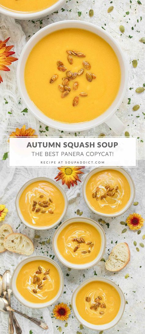 Butternut Squash Acorn Squash Soup, Copycat Squash Soup Panera, Copycat Panera Bread Autumn Squash Soup, Pacific Foods Butternut Squash Soup, Mixed Squash Soup, Vegetarian Squash Soup, Panera Fall Squash Soup, Df Butternut Squash Soup, Squash Soup Recipe Crockpot