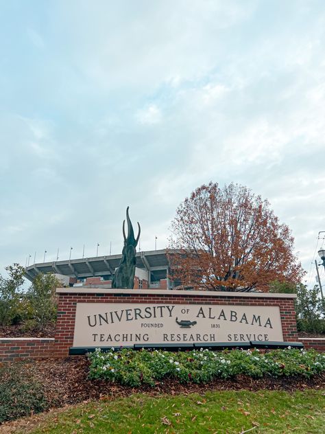 Roll Tide Aesthetic, Alabama Football Aesthetic, Bama Aesthetic, University Of Alabama Aesthetic, University Of Alabama Campus, Alabama Aesthetic, Alabama Tuscaloosa, Univ Of Alabama, Future Collage