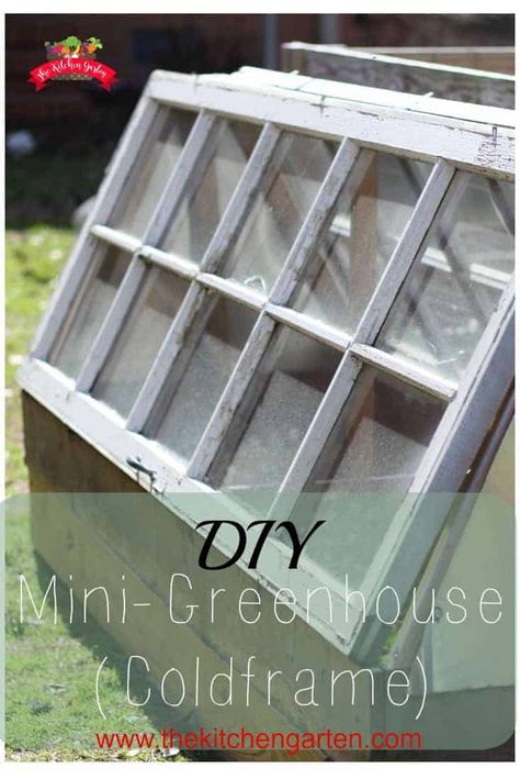 Raised Beds Diy, Garden Raised Beds, Diy Mini Greenhouse, Homemade Greenhouse, Cheap Greenhouse, Greenhouse Supplies, Beds Diy, Diy Greenhouse Plans, Best Greenhouse