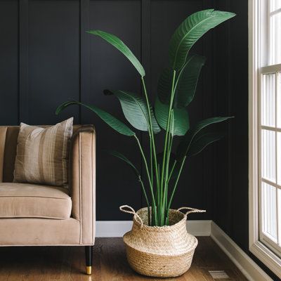 Experience the splendor of the tropics with our bird of paradise artificial plant. With its big, deep green leaves and upright stems that resemble the real thing, this plant is sure to add a dash of refinement to any space. Our floor plant for living room decor is created using high-quality materials, giving it a glossy appearance and a soft, velvety feel. Plus, it comes in a stunning black planter that has been crafted by skilled designers, making this large fake plant the perfect addition to a Large Fake Plants, Tall Fake Plants, Bird Of Paradise Plant, Artificial Birds, Living Room Plants, Floor Plants, Leaf Plant, Banana Tree, Silk Plants