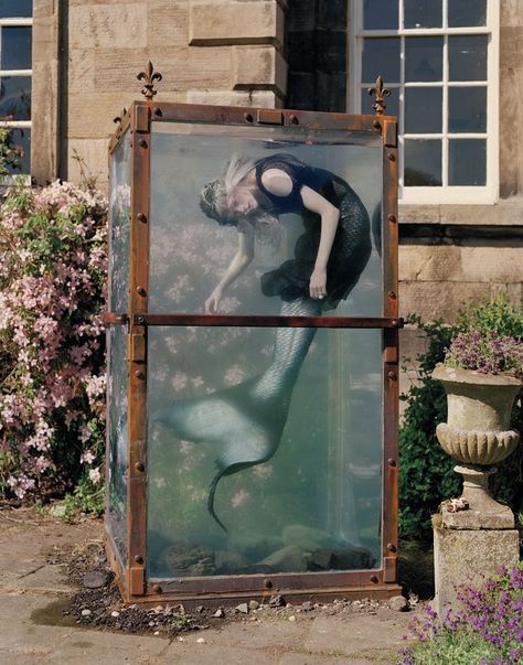 Captured Mermaid, Mermaid Photoshoot, Tim Walker Photography, Kristen Mcmenamy, Steampunk Tendencies, Editorial Inspiration, Dark Princess, Tim Walker, Mermaid Aesthetic