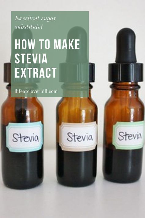 Stevia is a naturally sweet herb, which is a great substitute for sugar as it has no calories and doesn’t affect your blood sugar. Learn how to make your own at home with only 6 items! #lifeatcloverhill #stevia #diy #homemade #sugaralternatives Substitute For Sugar, Oatmeal Protein Pancakes, Stevia Recipes, Dr Livingood, Preserving Herbs, Carrot Cake Oatmeal, Autoimmune Paleo, Kitchen Skills, Liquid Stevia