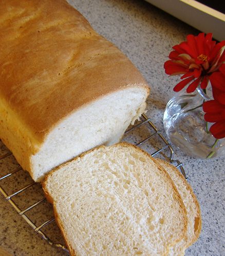 Paul’s (No Yeast) White Bread - trying this with Namaste GF flour + baking powder and salt to substitute the self rising flour. Easiest Bread Recipe No Yeast, Bread Recipe No Yeast, Self Rising Flour Recipes, Yeast Free Bread, Yeast Free Recipes, Yeast Free Breads, No Yeast Bread, White Bread Recipe, Gf Flour