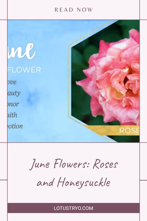 Discover the beautiful meanings behind June's birth flowers - the rose and honeysuckle. Representing love, beauty, and happiness, these stunning blooms are perfect for celebrating birthdays in June. Learn how these flowers can convey deep emotions and brighten the lives of loved ones. Whether you’re gifting a bouquet or decorating with these blooms, understand their symbolism to make every June birthday special Honeysuckle Meaning, June Birth Flowers, Rose And Honeysuckle, June Flowers, June Flower, June Birth Flower, Deep Emotions, Beautiful Meaning, Honeysuckle Flower