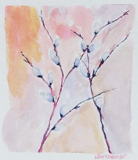 Watercolor Pussywillows, Pussywillow Watercolor Painting, Tulips And Pussywillows, Willow Watercolor Painting, Willow Watercolor, Black Cat Pussywillow, Willow Art, Watercolor Flower Art, Watercolor Flower