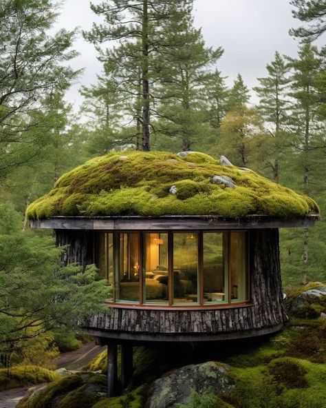 Scandinavian Forest, Forest Retreat, House In Nature, Fantasy House, Eco House, Garden Office, Forest House, Green Roof, Tiny House Design