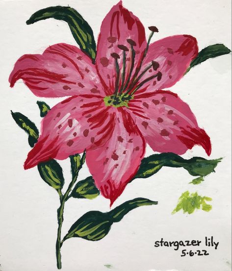 Gouache Art Sketchbook, Lilly Painting Easy, Flower Gouache Painting, Lilies Flowers Painting, Stargazer Lily Drawing, Things To Paint On Canvas Aesthetic, Painting Ideas Gouache, Flower Painting Gouache, Himi Gouache Art