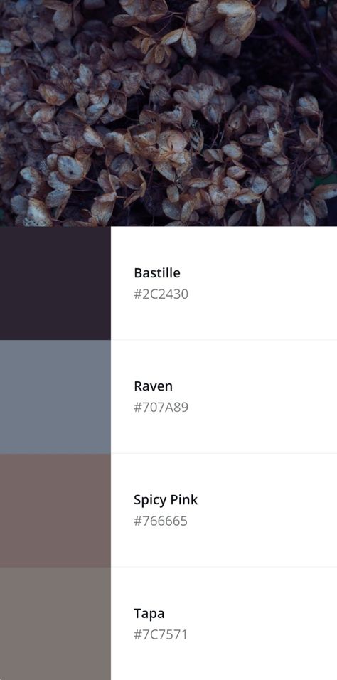 Four color palette with muted dark floral colors Witch Aesthetic Color Palette, Muted Purple Color Palette, Muted Purple Aesthetic, Taupe Aesthetic, Dark Earth Tones, Flower Color Palette, Forest Witch Aesthetic, Floral Color Palette, Tone Color Palette