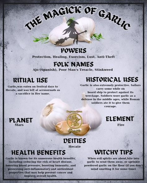 **The Magic of Garlic: Nature's Enchanted Bulb** 🌿🧄 Garlic, often hailed as nature's wonder, is more than just a kitchen staple. This potent bulb has been revered for centuries for its mystical properties and health benefits. From warding off evil spirits in ancient folklore to boosting immunity, garlic's magic is undeniable. 🌟 Rich in antioxidants, garlic helps combat illnesses and promotes heart health. Its unique aroma and flavor transform any dish into a culinary delight. But the magic ... Garlic Magical Properties, Garlic In Witchcraft, Magical Properties Of Garlic, Garlic Witchcraft, Warding Off Evil Spirits, Natural Healing Herbs, Boosting Immunity, Magick Symbols, Garlic Benefits