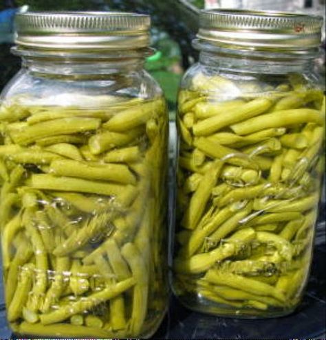 Preserving Green Beans, Canning Green Beans, Canned Green Bean Recipes, Water Bath Cooking, Canning Beans, Canning Water, Hot Water Bath Canning, Water Bath Canning Recipes, Pickled Green Beans