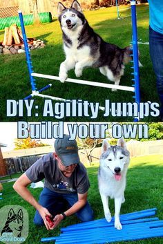 Build your own Agility Jumps Dog Agility Course Diy, Dog Agility Equipment, Dog Agility Training, Dog Agility Course, Diy Chat, Dogs Diy Projects, Agility Training For Dogs, Dog Minding, Dog Training Classes