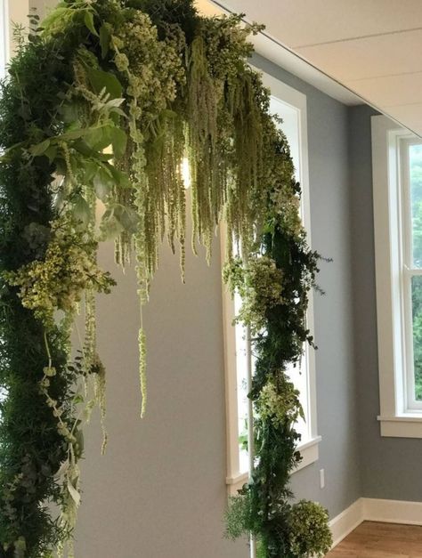 Plants On Mirror, Vine Doorway, Indoor Forest Decor, Greenery Archway, Renter Upgrades, Moss Backdrop, Enchanted Forest Centerpieces, Christmas Archway, Archway Decor