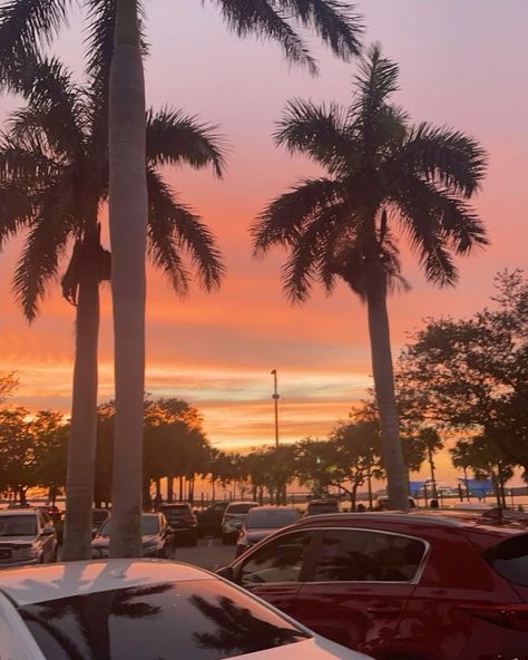 ☕️👜🌅 Florida Sunset Aesthetic, Fall In Florida Aesthetic, Kissimmee Florida Aesthetic, Sarasota Aesthetic, Sarasota Florida Aesthetic, Florida Night, Fall In Florida, Sunrise Florida, Florida Aesthetic