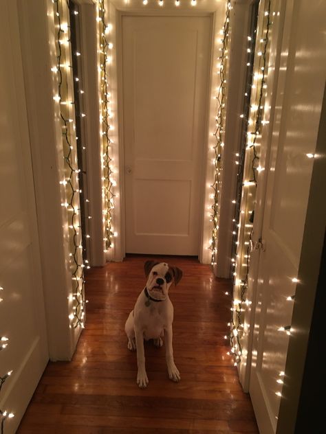 Christmas Decor Doorway Inside, Christmas Hallway Lights, Interior Christmas Light Ideas, Doorway Decor Christmas, Half Wall Christmas Decor, Christmas Light Decorations Indoor, Hallway Ornaments, Cozy Christmas Decor Living Room, Hallway Christmas Lights