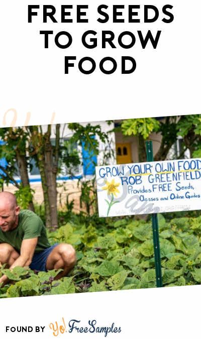 FREE Seeds To Grow Food - Yo! Free Samples https://yofreesamples.com/food-samples/free-seeds-to-grow-food/ Seed Library, Banana Seeds, Free Seeds, Food Samples, Grow Food, Seed Catalogs, Free Plants, Garden Theme, Grow Your Own Food