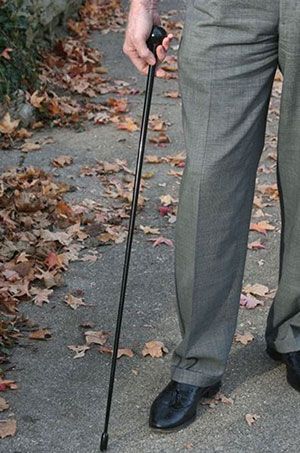 Tactical Walking Stick, Diy Walking Cane, Walking Sticks Ideas Homemade, Quarter Staff, Walking Stick With Seat, Walking Sticks For Sale, Walking Canes Men, Garden Bridges, Unique Walking Sticks