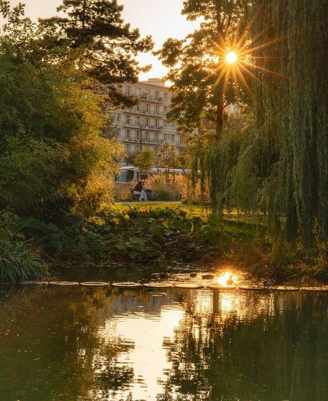 antoinef_lh Automne printanier dans le Square Saint-Roch🍁🍂 #lehavre #lh_lehavre #igerslehavre #igersfrance #ig_france #ig_color #thestreetpr0ject #goldenhour #streetgrammer #instastreet #urban_shots #explore_normandie #normandietourisme #normandienow #normandie #seinemaritime #automne #autumn #street_focus_on #france_focus_on #streetstyle #street #super_france #hello_france #francetourisme #france4dreams #picoftheday #photooftheday #liveforthestory #raw_community_member Autumn Street, Saint Roch, Country Roads, Road, Instagram