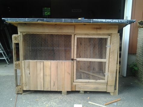 Turkey house made mostly out of pallets. Turkey Coop, Turkey House, Chicken Pens, Palace House, Pallet Dog House, Raising Turkeys, Turkey Farm, Chicken Pen, Dog House Plans