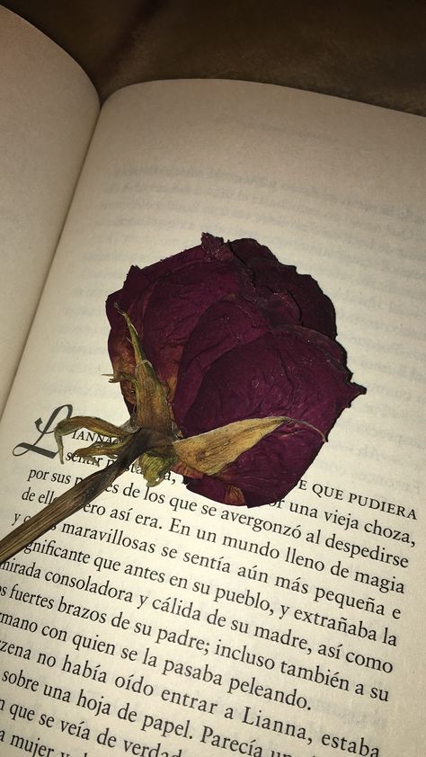 Dry Rose In Book, Girls Snaps, Book Snap, Fall Cards Handmade, Dry Rose, Dp For Whatsapp, Allah Photo, Nothing But Flowers, Face Pictures