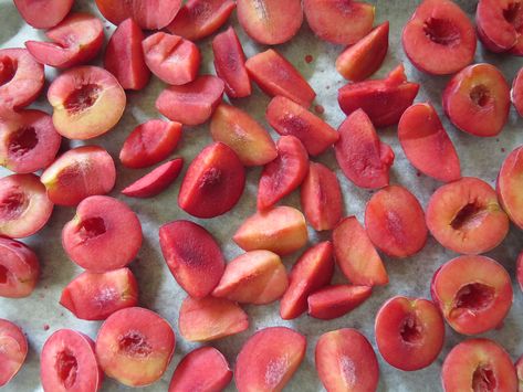 How to freeze plums | Rediscover Freeze Plums How To, Freezing Fresh Plums, Freeze Dried Plums, How To Freeze Fresh Plums, How To Freeze Plums, Freezing Plums, Plum Preserves, Freezing Fruit, Plum Recipes