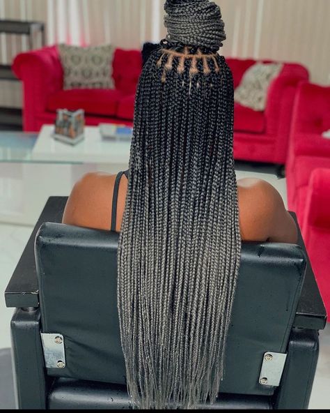 Chounèse on Instagram: “Ombré Hair color shadow. BOOK THIS STYLE UNDER: Check styleseat for availability for the month of “October & November ” 😀…” Grey Box Braids, Grey Hair Braids, Shadow Book, Ombre Braid, Top Braid, Blonde Box Braids, African Hair Braiding Styles, Box Braids Hairstyles For Black Women, Cool Braid Hairstyles