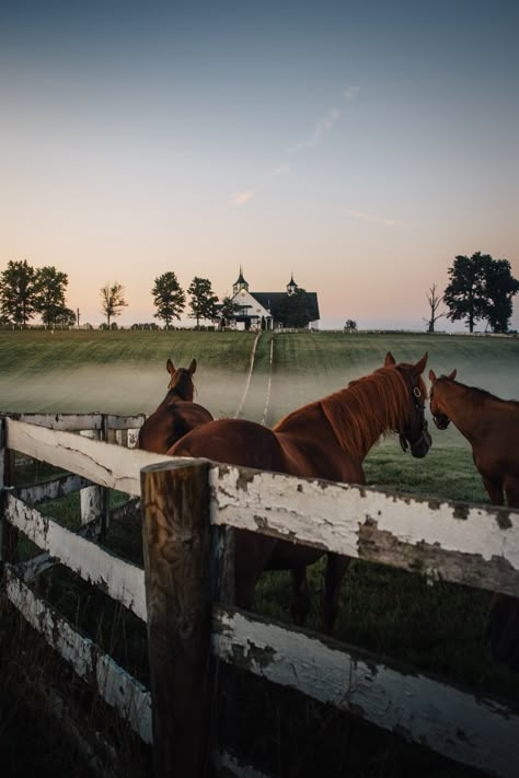 This poster has a partly glossy, partly matte finish and it'll add a touch of sophistication to any room.  * 10 mil (0.25 mm) thick * Slightly glossy * Fingerprint resistant Savannah Georgia Beach, Cowboy Romance, Farm Lifestyle, Dream Life House, Farm Photography, Country Lifestyle, Farm Stay, Lexington Ky, Horse Farms