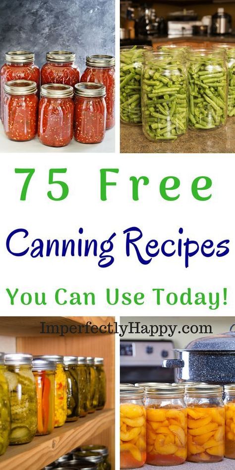 Ball Electric Water Bath Canner Recipes, Fruit Canning Recipes, Inversion Canning, Freezing Recipes, Canning Meat, Freezing Vegetables, Easy Canning, Dill Pickle Recipe, Pressure Canning Recipes