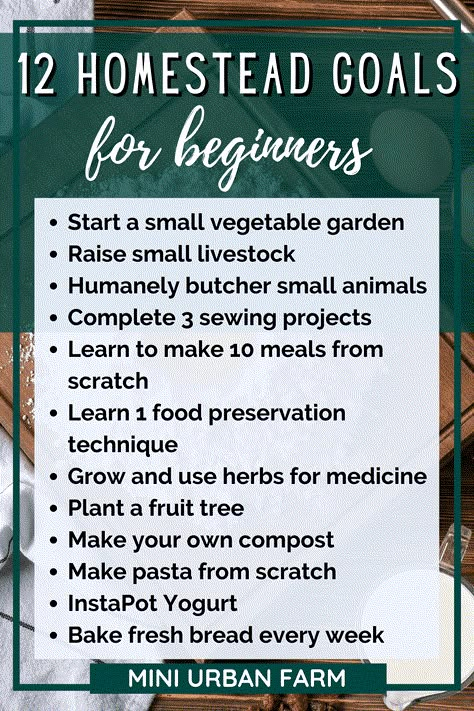 #homestead #garden #selfsufficiency 12 Homesteading Goals for Beginners - If you're looking to start homesteading then adding these goals to your checklist will set you up for success on your homesteading journey! Urban Homesteading - Mini Urban Farm Mini Homestead Layout, Small Beginner Garden, Homesteading On An Acre, How To Profit From Homesteading, Homestead For Beginners, How To Start A Small Farm, In Town Homesteading, Starting A Farm Homesteading, Homestead Grocery List