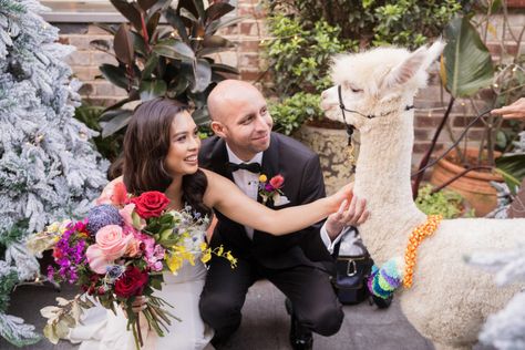 Peruvian perfection: Ara and Jorge’s elegant traditional wedding with a twist | Real Weddings Paper Balls Diy, Peruvian Wedding, Peru Wedding, Easy Weddings, Peruvian Textiles, Easy Wedding Planning, Diy Napkins, Colourful Wedding, Paper Balls