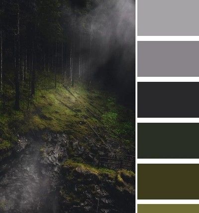 Color Design Inspiration, Dark Home Decor, Forest Color, Color Schemes Colour Palettes, Paint Swatches, Color Palette Design, Color Inspo, Paint Colors For Home, Color Stories