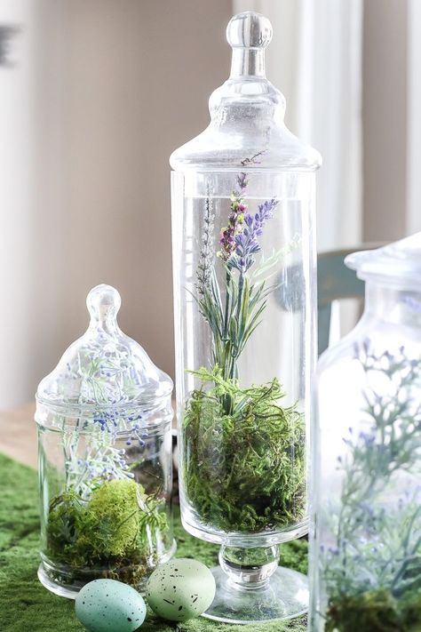 Try these vase filler ideas & DIY Apothecary jars to update your decor! Lots of these apothecary jar ideas come from the dollar store too! Apothecary Terrarium, Apothecary Jars Bathroom Decor, Large Apothecary Jars Decor, Apocathery Jars Decor, Apothecary Jar Terrarium, Bath Apothecary Jars, Apothecary Jar Ideas, Apothecary Diy, Vase Filler Ideas