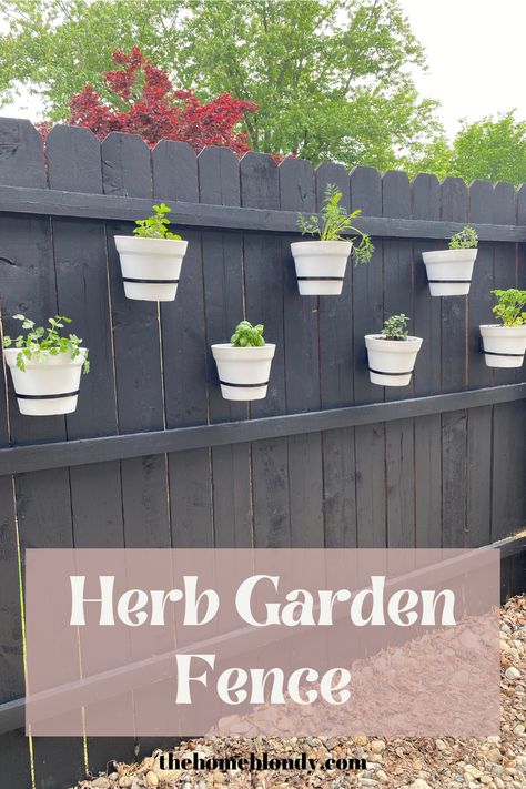 fence herb garden Hanging Herb Gardens On Fence, Over The Fence Herb Garden, Herb Fence Garden, Fence Herb Garden Ideas, Fence Hanging Planters Diy, Herbs On Fence, Hanging Pots On Fence, Garden Fence Planting Ideas, Hanging Planters On Fence