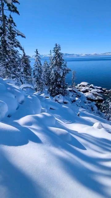 Lake Tahoe Aesthetic Winter, South Lake Tahoe Winter, Tahoe In Winter, Lake Tahoe Snow, Tahoe Snow, Lake Tahoe Winter, Tahoe Winter, Snow Adventure, Snow Aesthetic