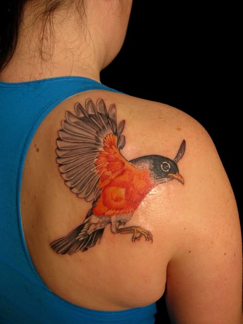 American Robin American Robin Tattoo, American Robin Bird, Upper Shoulder Tattoo, Colorful Bird Tattoos, Bird Crafts Preschool, Robin Bird Tattoos, Birdcage Tattoo, Cage Tattoo, Bird Tattoo Sleeves